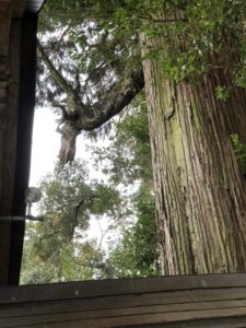 東霧島神社